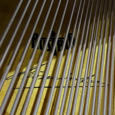 二手貝森朵夫鋼琴 BÖSENDORFER 貝森朵夫｜170