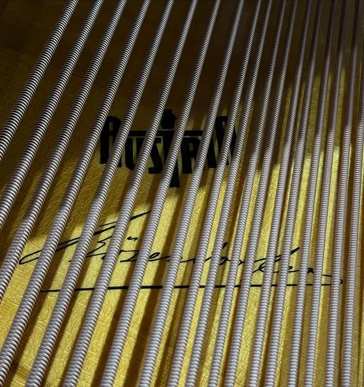 二手貝森朵夫鋼琴 BÖSENDORFER 貝森朵夫｜170