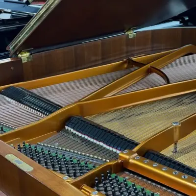 二手貝森朵夫鋼琴 BÖSENDORFER 貝森朵夫｜170