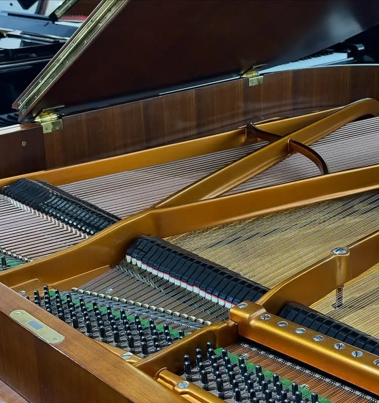 二手貝森朵夫鋼琴 BÖSENDORFER 貝森朵夫｜170