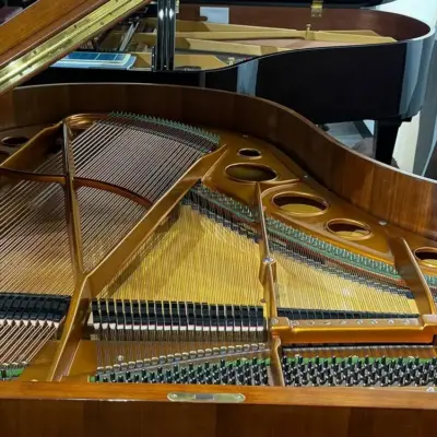 二手貝森朵夫鋼琴 BÖSENDORFER 貝森朵夫｜170