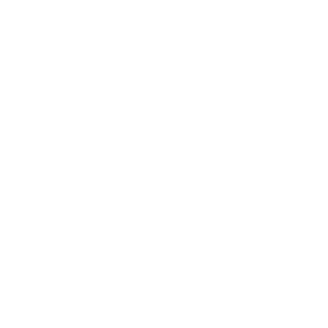 Logo 05 steinway and sons rb white