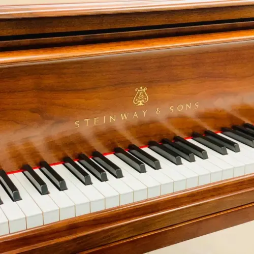 二手史坦威鋼琴 Steinway & Sons 史坦威｜ 路易十五 M - 170